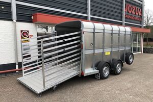 Ifor Williams TA510G12-6 enkeldeks koeientrailer (1)
