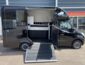 Paardenwagen Renault Master Robrise 2017 (14)
