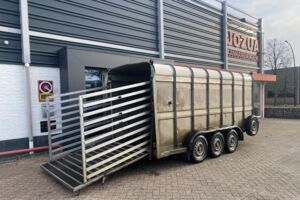 Veetrailer koeientrailer Ifor Williams TA510G14 2014 (1)