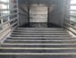Veetrailer koeientrailer Ifor Williams TA510G14 2014 (3)