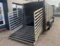 Veetrailer koeientrailer Ifor Williams TA510G14 2014 (5)