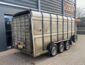Veetrailer koeientrailer Ifor Williams TA510G14 2014 (7)